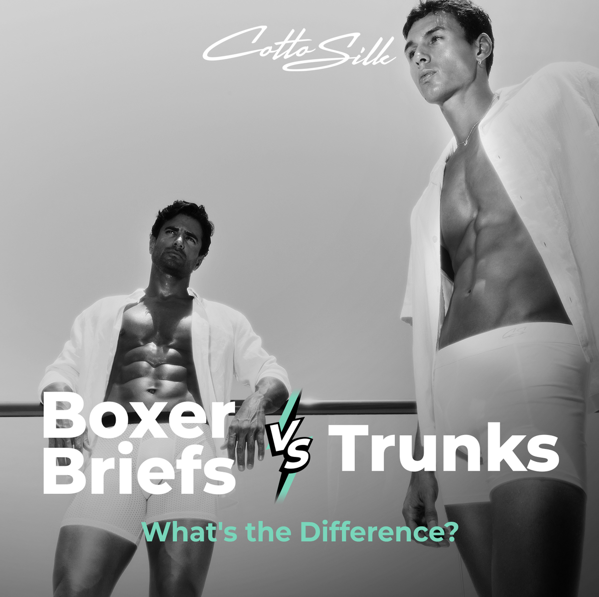 Boxer Briefs vs Trunks: What's the Difference? – CottoSilk